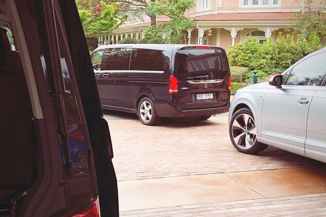 Private Transfer from Roissy CDG Airport to Disneyland Paris - Key things to know before you book