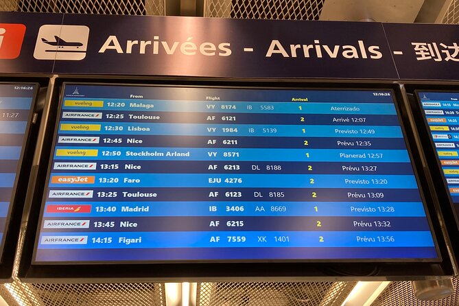 Private Transfer from Roissy CDG Airport to Disneyland Paris - Should you book this Roissy CDG to Disneyland Paris transfer?