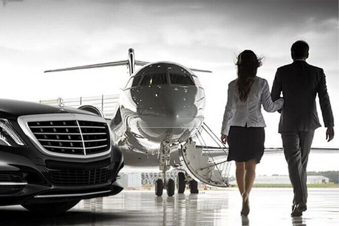 Private transfer from/to CDG, ORLY airports <=> DISNEYLAND - The ride experience: air-conditioned comfort and an English-speaking driver