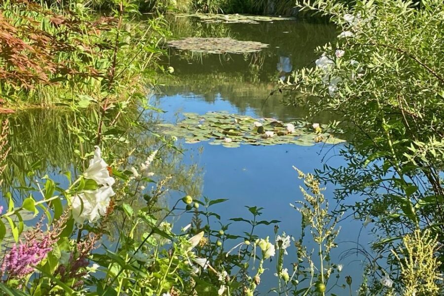 Private Trip Giverny Versailles Trianon from Paris - Price and value: is $631 per person worth it?
