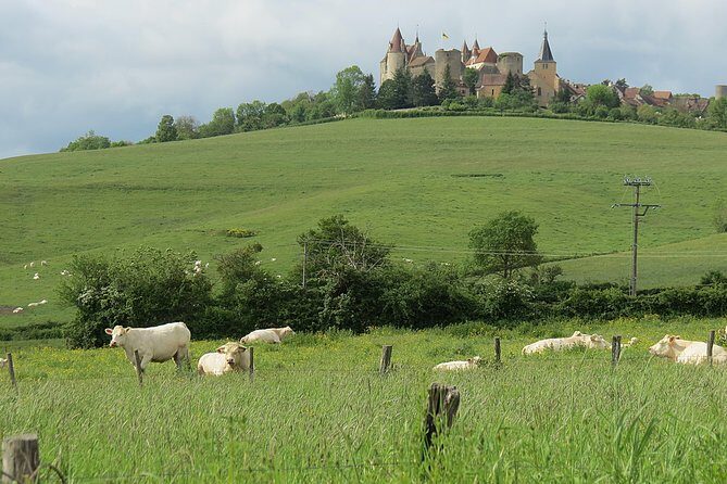 Private Wine Tour to Burgundy Region from Paris - Why a private Burgundy day from Paris feels different