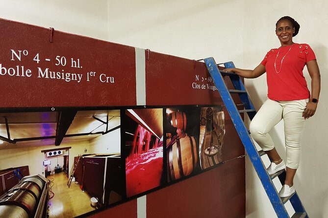 Private Wine Tour to Burgundy Region from Paris - Price and what you get for $2,254.64 per group (up to 7)
