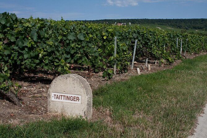 Private wine tour to Champagne region from Paris - Key highlights to look for