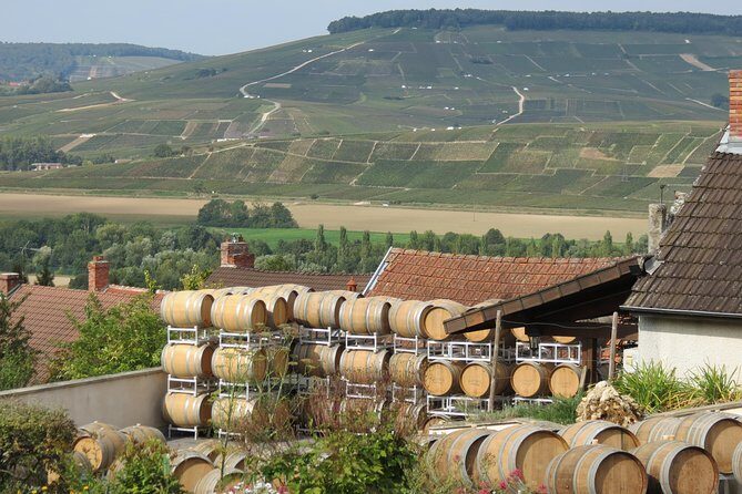 Private wine tour to Champagne region from Paris - Reims Cathedral: where French coronations happen