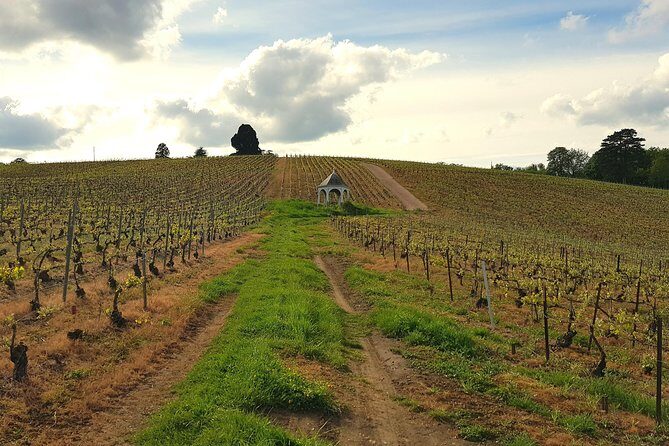 Private wine tour to Champagne region from Paris - How the guide and flexible itinerary change the feel of the day