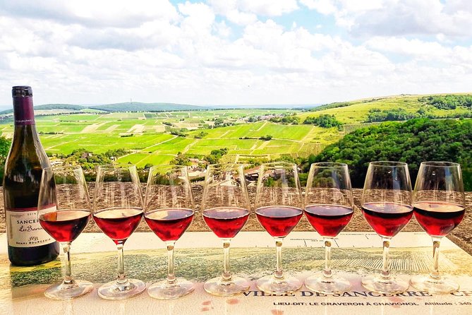 Private wine tour to Sancerre vineyards from Paris with Sommelier - Key Highlights You Should Know