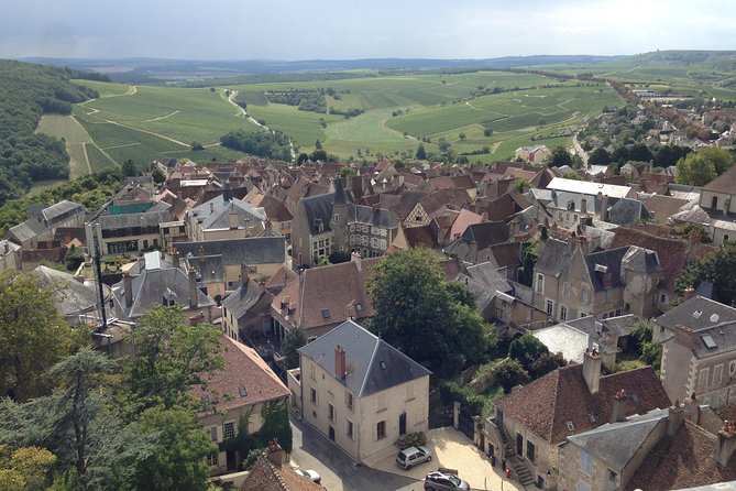 Private wine tour to Sancerre vineyards from Paris with Sommelier - Early Hotel Pickup and the Van Ride to Sancerre