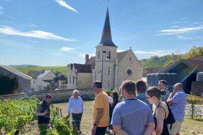 Private wine tour to Sancerre vineyards from Paris with Sommelier - Loire Valley Views and Why Sancerre Looks So Different From Paris