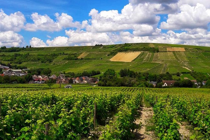 Private wine tour to Sancerre vineyards from Paris with Sommelier - Stop 3: Chavignol Goat Cheese Farm and Pairing With Purpose
