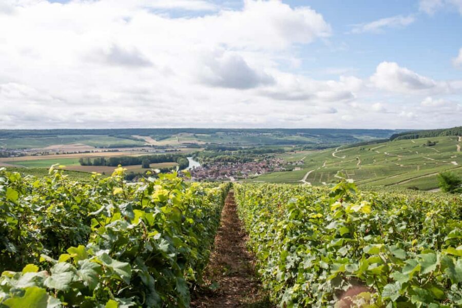 Reims: Champagne House Mumm, Winery Visit with Lunch - What to Bring and How to Handle the Cellar Temperature