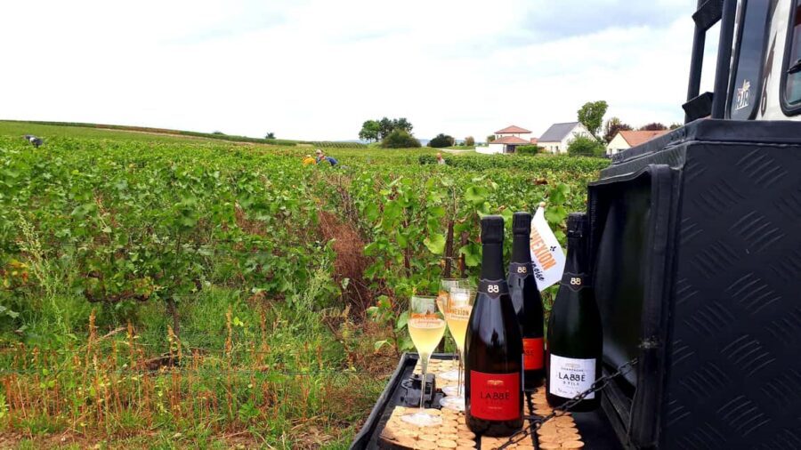 Reims: L'Incontournable Tradition & Dégustation panoramique - Key points to know before you go