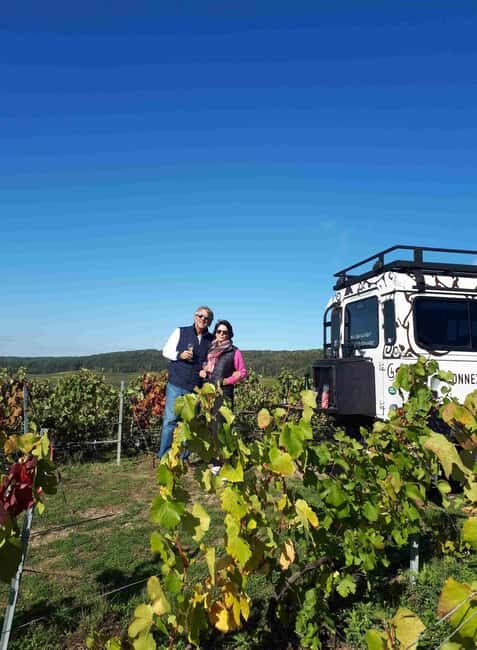 Reims: L'Incontournable Tradition & Dégustation panoramique - The tasting stop: brut tradition with at least two pours and food