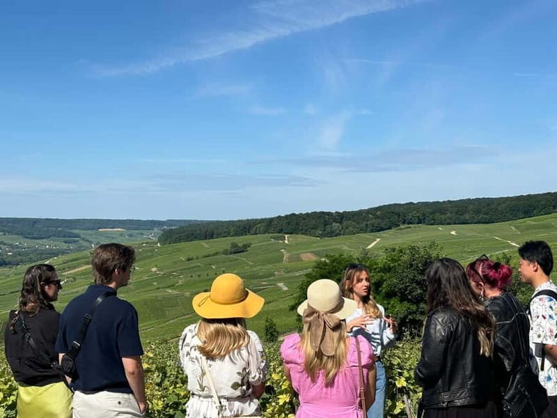 Reims or Epernay: Short day family growers & lunch - Lunch at a Champagne Estate: Pairing Done the Right Way