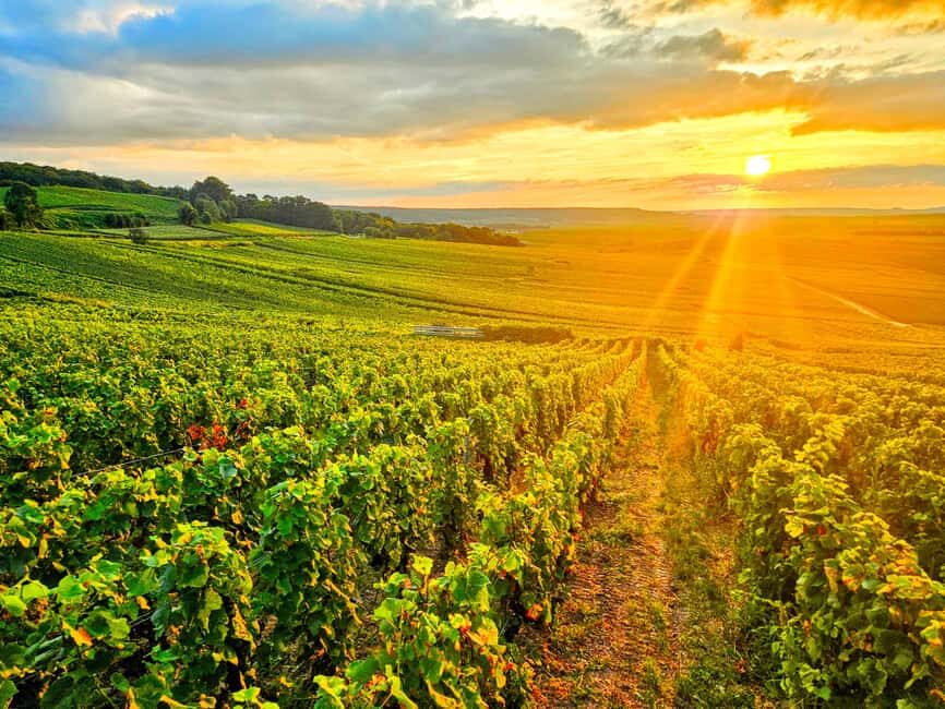 Reims: Veuve Clicquot Tasting Private Tour in Champagne - Key moments that make this tour click