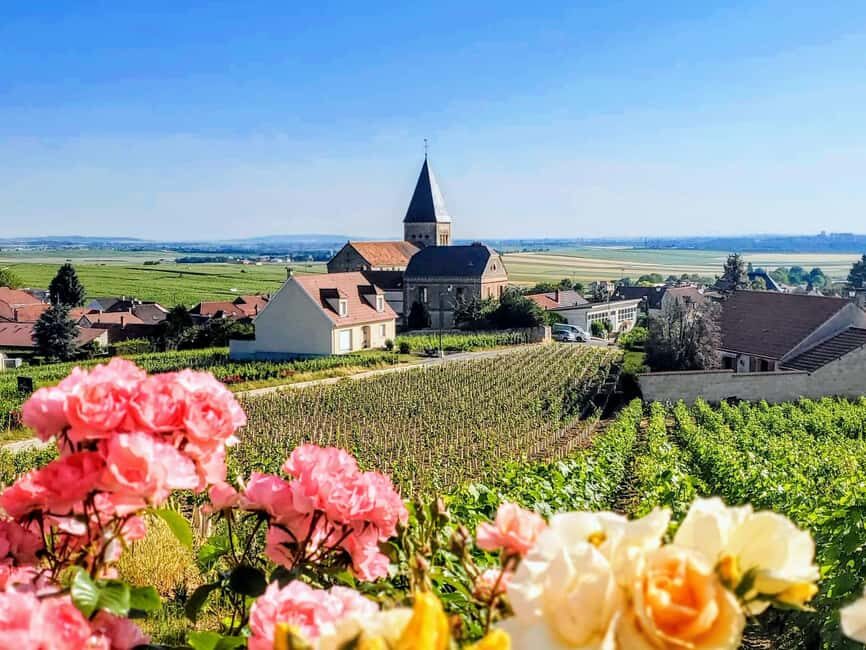 Reims: Veuve Clicquot Tasting Private Tour in Champagne - How the day moves: Reims, cellars, cathedral, and vineyards