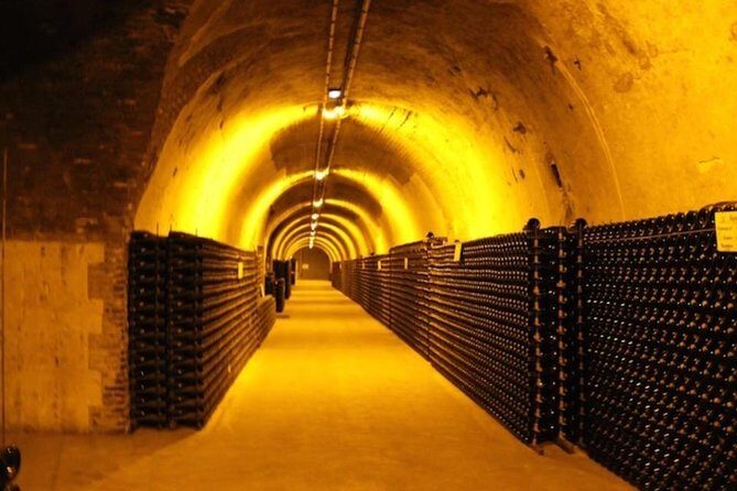 Ruinart champagne special tour - What the Guide Adds (Tiane, Lisa, and Stéphane, for Example)