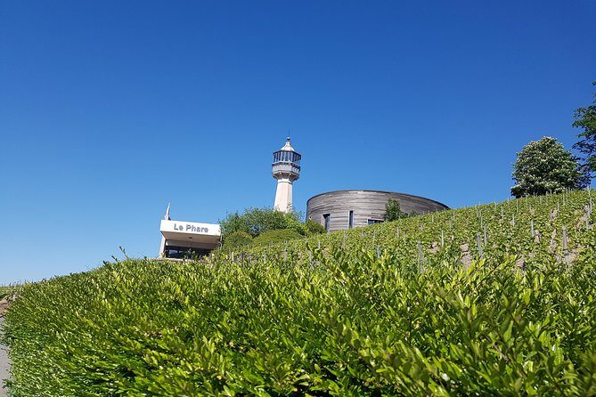 Ruinart champagne special tour - Who This Tour Fits Best