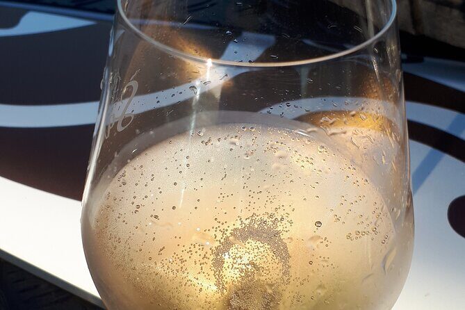 Sunset and champagne tasting in the vineyards - If the sunset disappears: the Marne valley backup plan