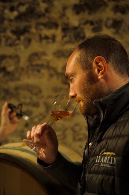 Tasting Experience: Discover our Champagnes in Marne Valley - Should You Book Champagne Harlin’s Guided Tasting?