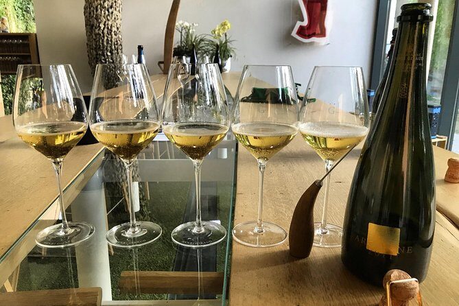 The Connoisseurs from Epernay (Private Half day Champagne Tour) - Stop 2: Hautvillers viewpoints plus a Grand Cru/Premier Cru grower tasting