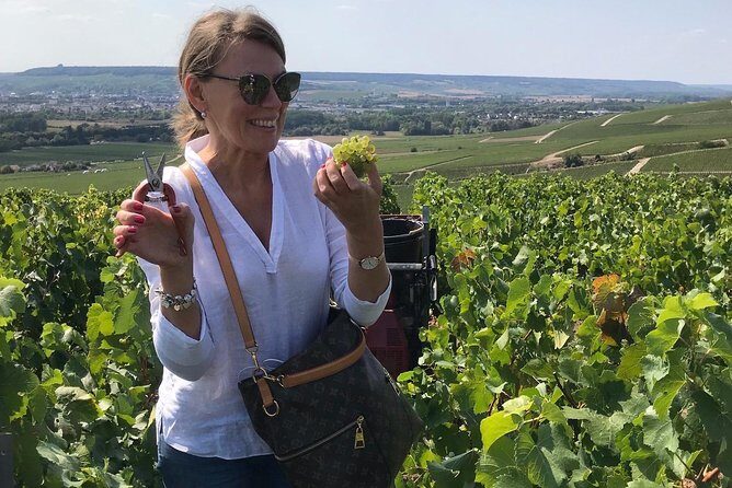 The Connoisseurs from Epernay (Private Half day Champagne Tour) - Stop 3: Oger Blanc de Blancs and the second family grower tasting