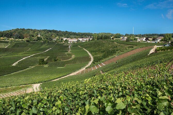 The Connoisseurs from Reims (Private Half day Tour) - Key things to know before you go