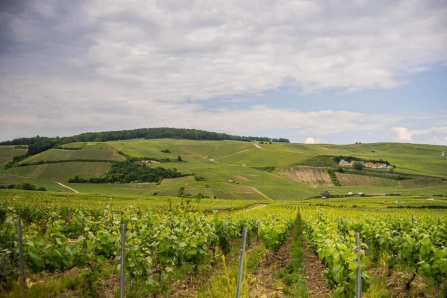 The Essential Tour from Epernay with Champagne Tasting - Hautvillers Tasting Right in the Vines (And the Optional Sabrage)