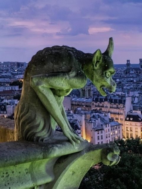 The Haunted Paris Experience - Square du Vert-Galant and Pont Neuf: night views with an edge