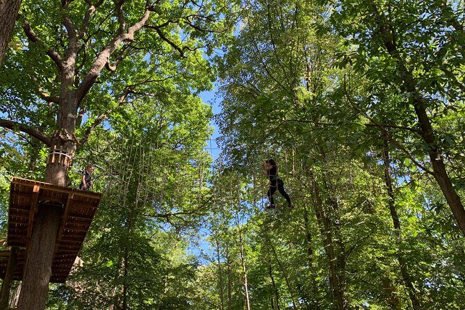 Tree Top Adventure in Forest of Meudon - Key Things I’d Watch Before You Go