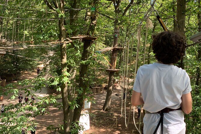Tree Top Adventure in Forest of Meudon - Forest of Meudon Tree Top Adventure: What You’re Really Signing Up For