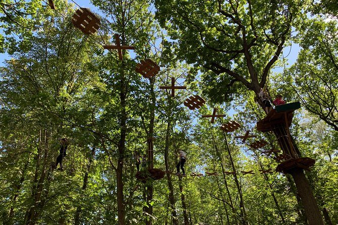 Tree Top Adventure in Forest of Meudon - Practical Tips That Make the Day Smoother