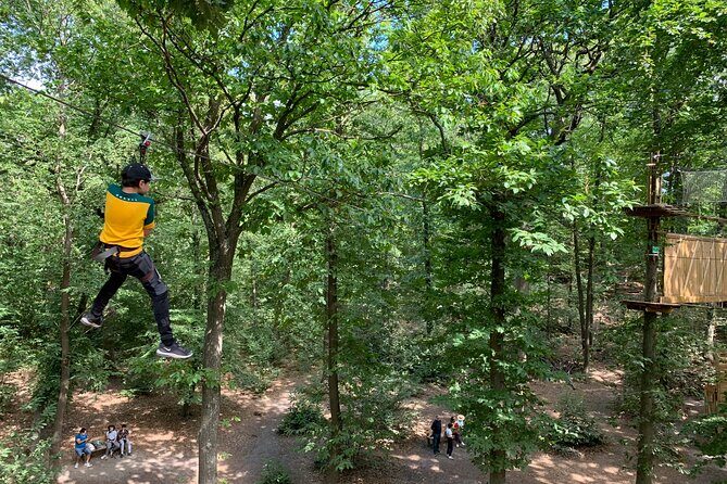 Tree Top Adventure in Forest of Meudon - Getting There Near Paris (and Why Arrival Time Matters)