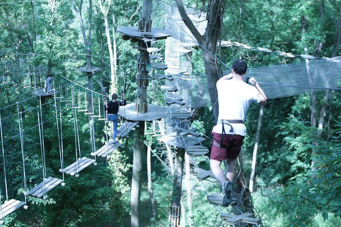 Tree Top Adventure in Rueil-Malmaison - Key highlights you’ll feel right away