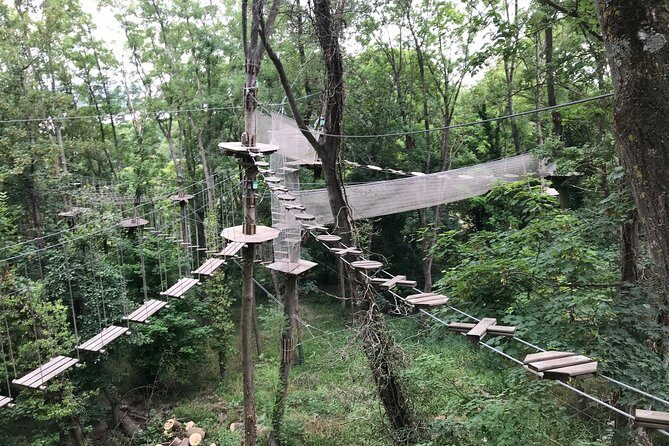 Tree Top Adventure in Rueil-Malmaison - Safety basics you should take seriously (and that keep it fun)