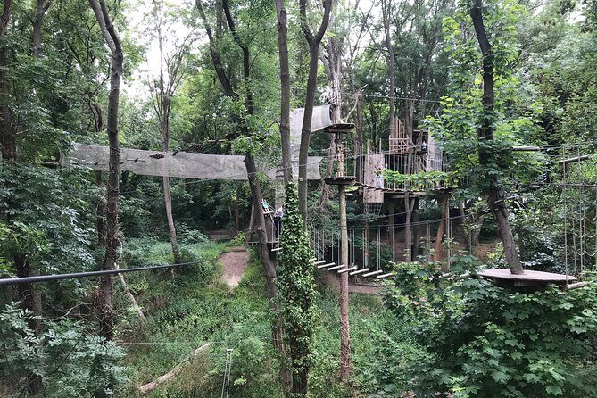 Tree Top Adventure in Rueil-Malmaison - From harness fitting to your first course: the 2-hour flow