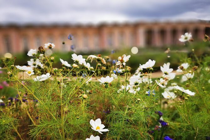 Versailles Full Day Private Guided Tour with Hotel Pickup - Timing, entry flow, and the reality of waiting at Versailles