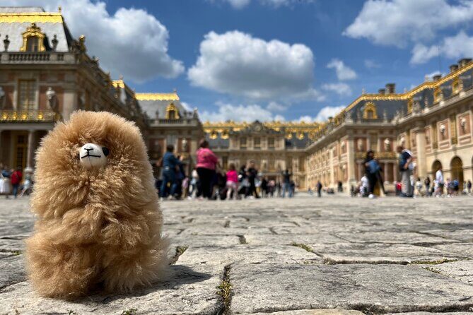 Versailles Half Day Private Tour Trianons & Gardens Included - Tickets and comfort: the small inclusions that add up