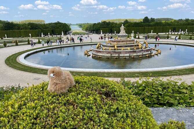 Versailles Half Day Private Tour Trianons & Gardens Included - Palace of Versailles: seeing the core without losing your mind