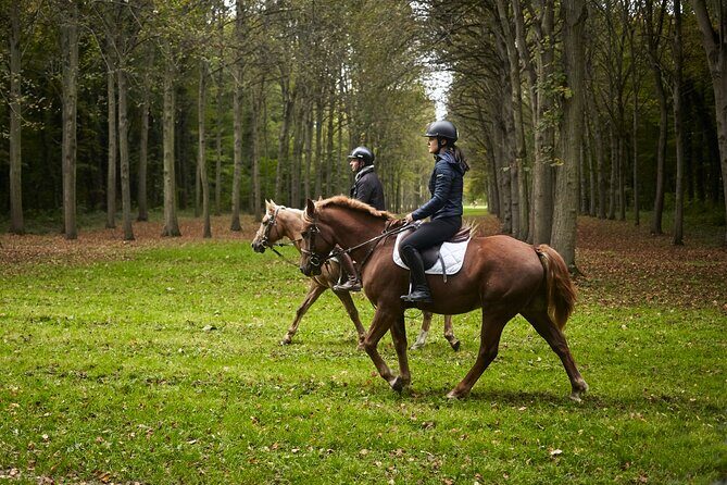 Versailles Private Tour : Horse-riding, Gastronomy & the Palace - Entering the Palace of Versailles with a historian guide
