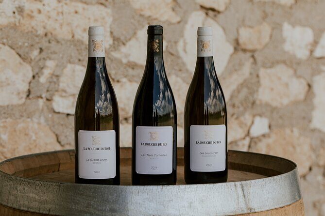 Vineyard tour and wine tasting in Davron - Davron vineyard tour: close enough to Paris, focused enough to feel special
