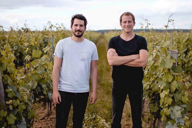 Vineyard tour and wine tasting in Davron - What you should know about timing, arrival, and comfort