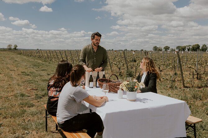 Vineyard tour and wine tasting in Davron - Who this Davron wine tasting is best for