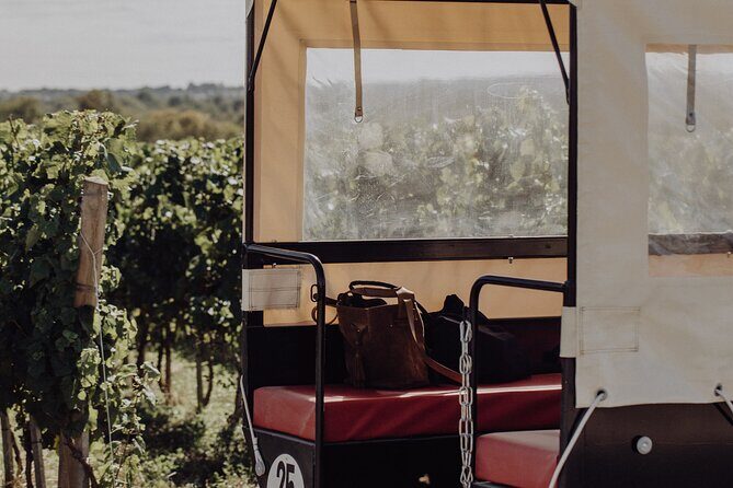 Vineyard tour and wine tasting in Davron - Price and value: is $41.70 a fair deal?