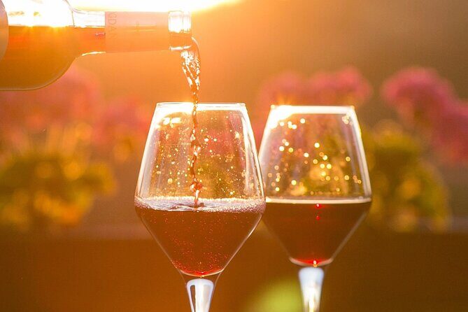 Vineyard tour and wine tasting in Davron - The 1.5-hour flow: what you’re likely to do from start to finish