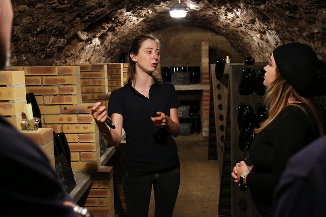 VIP Champagne Region Day Trip with 7 Tastings & Lunch from Paris - Value for the Price: Why $338 Can Feel Fair