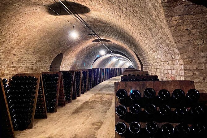 VIP Champagne Region Day Trip with 7 Tastings & Lunch from Paris - Logistics That Actually Matter: When the Day Can Change