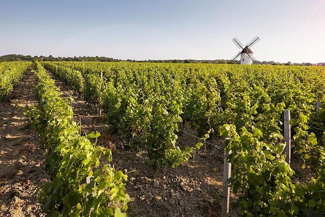 Wine tasting tour in Loire Valley with castle visits and lunch - Should You Book This Loire Wine and Castle Day?