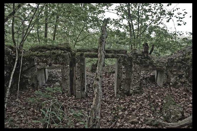 World War I Tour of Northern France; the Argonne Forest - Entering the Argonne Forest’s “behind-the-front-line” world