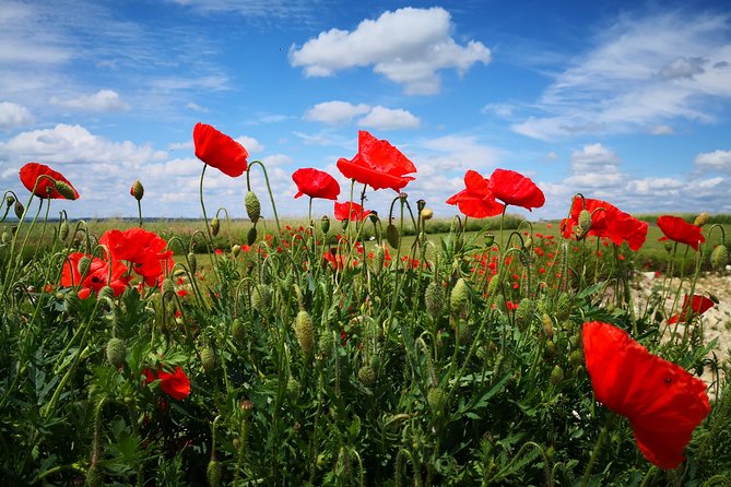 WW1 Australians in the Somme -Villers Bretonneux, Le Hamel - Day trip from Paris - Lochnagar Crater: the blast you can still see