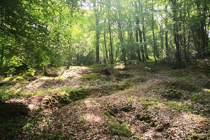 WW1 Belleau Wood and American Monument in Château-Thierry - Day trip from Paris - Stop 4: German Military Cemetery of Belleau and facing the whole human cost